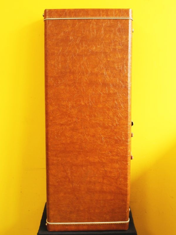Electric Guitar Case